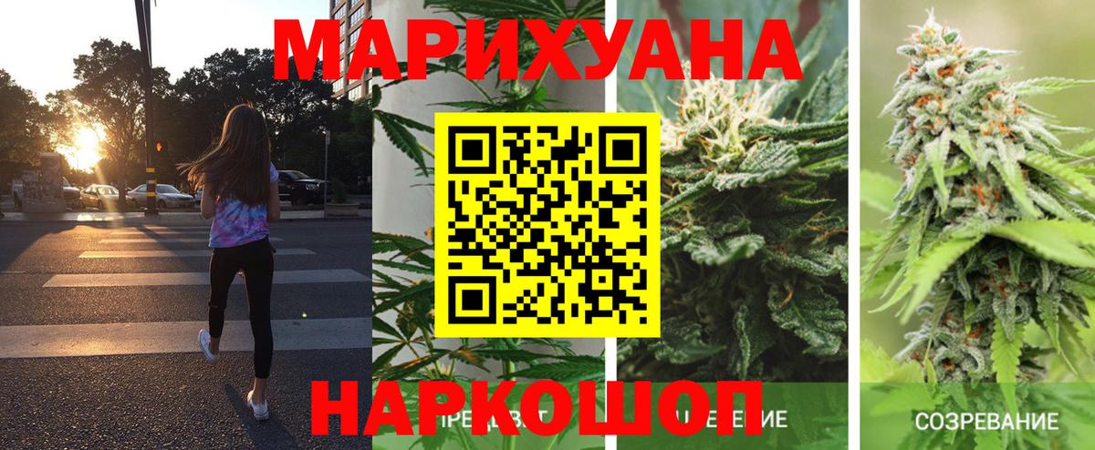 МАРИХУАНА ГИДРОПОН  Канабис Bruce Banner  МАРИХУАНА семена  Вход с VPN  Нижний Новгород 